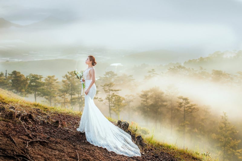 Starry Wedding Dress